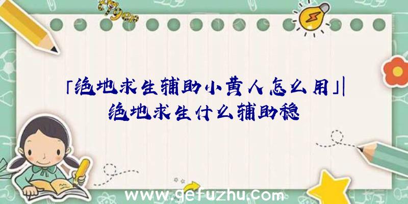 「绝地求生辅助小黄人怎么用」|绝地求生什么辅助稳